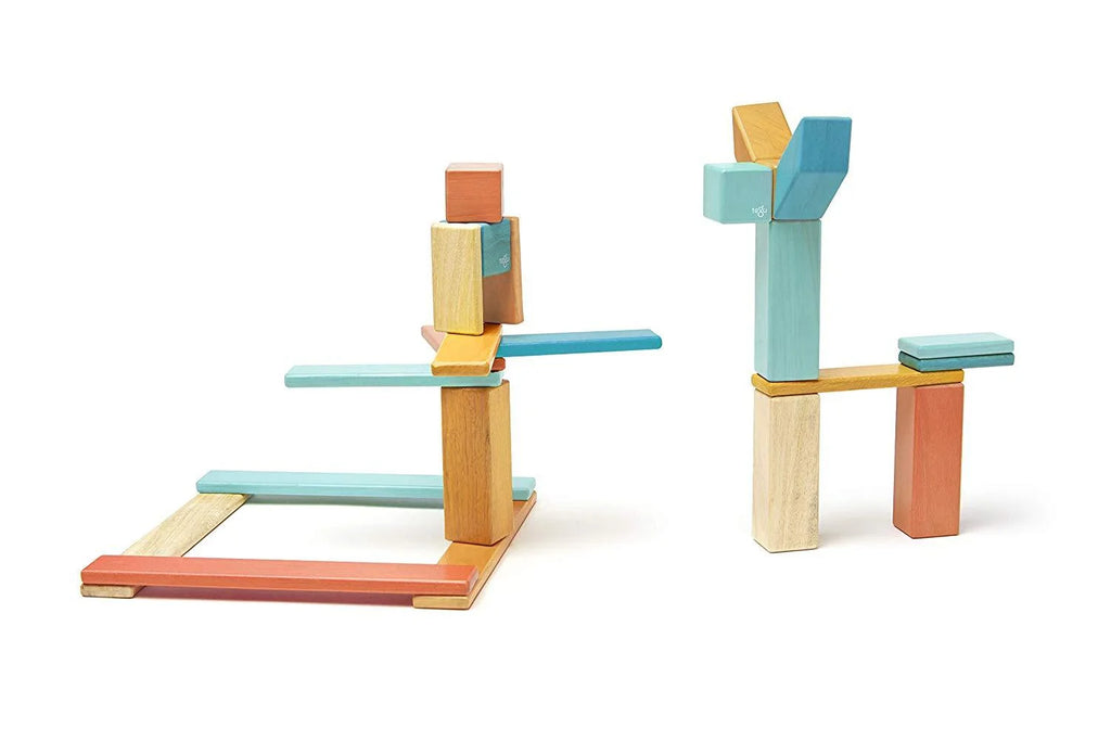 24 Piece Tegu Magnetic Wooden Block Set J889218