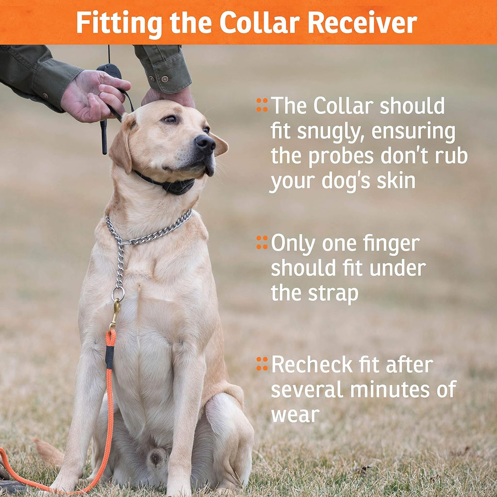 Rechargeable Waterproof Bark Control Collar B9155