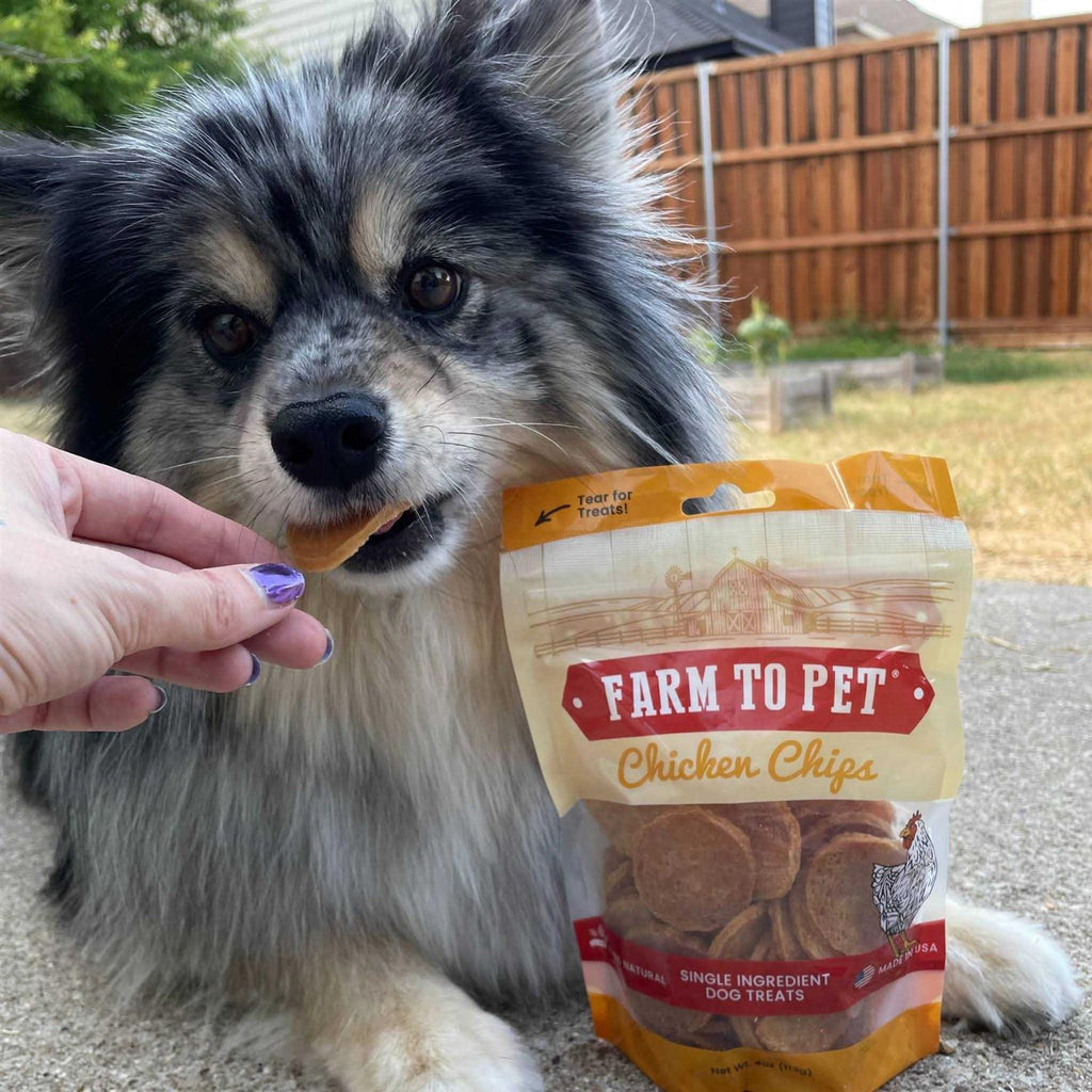 Chicken Chips Dog Treats F1412