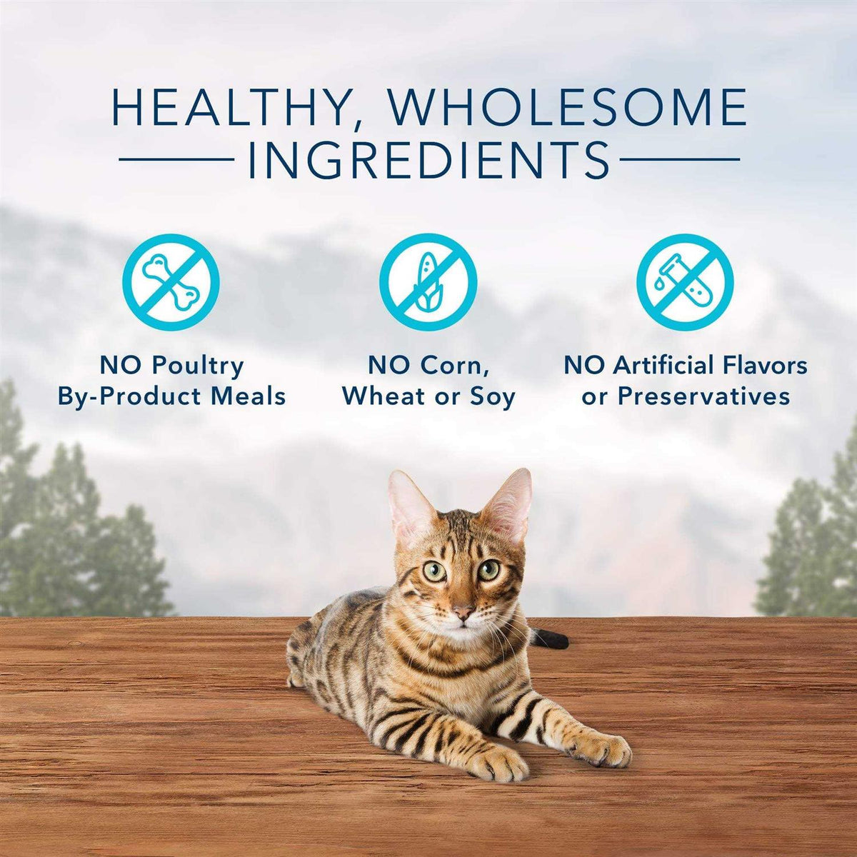 Crunchy Cat Treats D825659