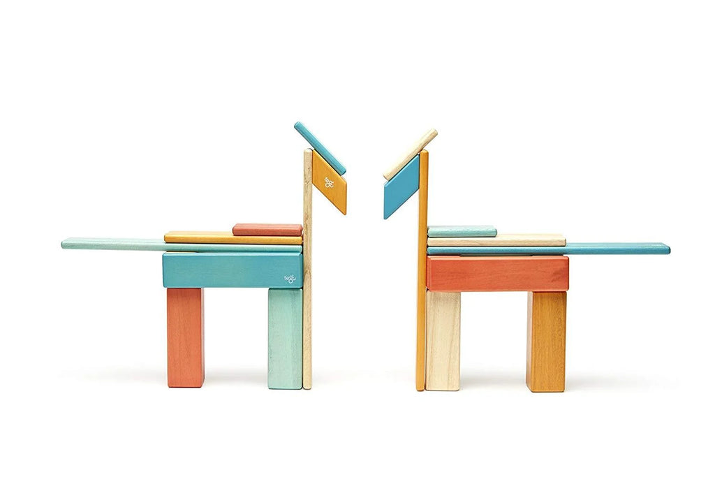 24 Piece Tegu Magnetic Wooden Block Set J889218