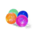 Spiny Ball Dog Chew Toy N366621