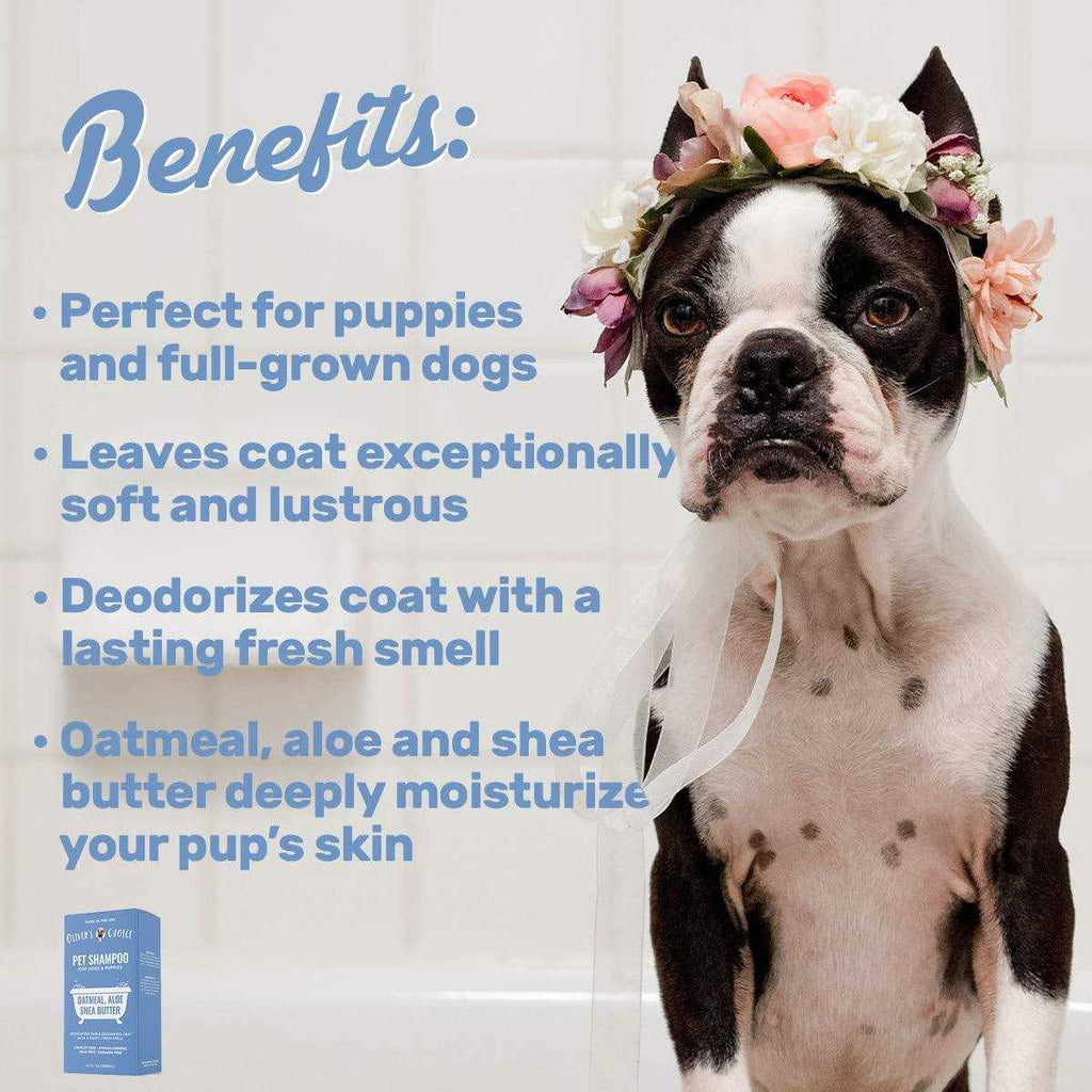 Oatmeal and Aloe Dog Shampoo V68764