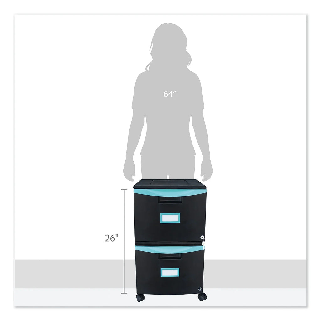 2-Drawer Mobile File Cabinet, Black L6206