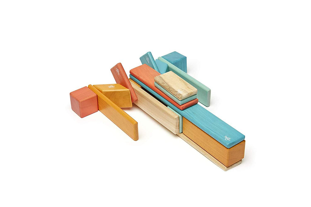 24 Piece Tegu Magnetic Wooden Block Set J889218