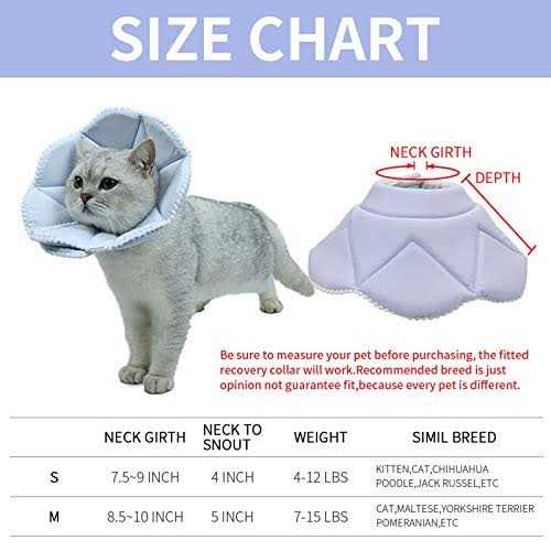 Soft Adjustable Cat Recovery Collar R4372