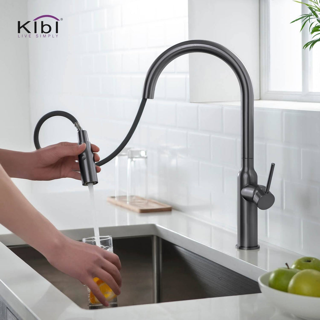 Black Single Level Kitchen Faucet with Sprayer C72130