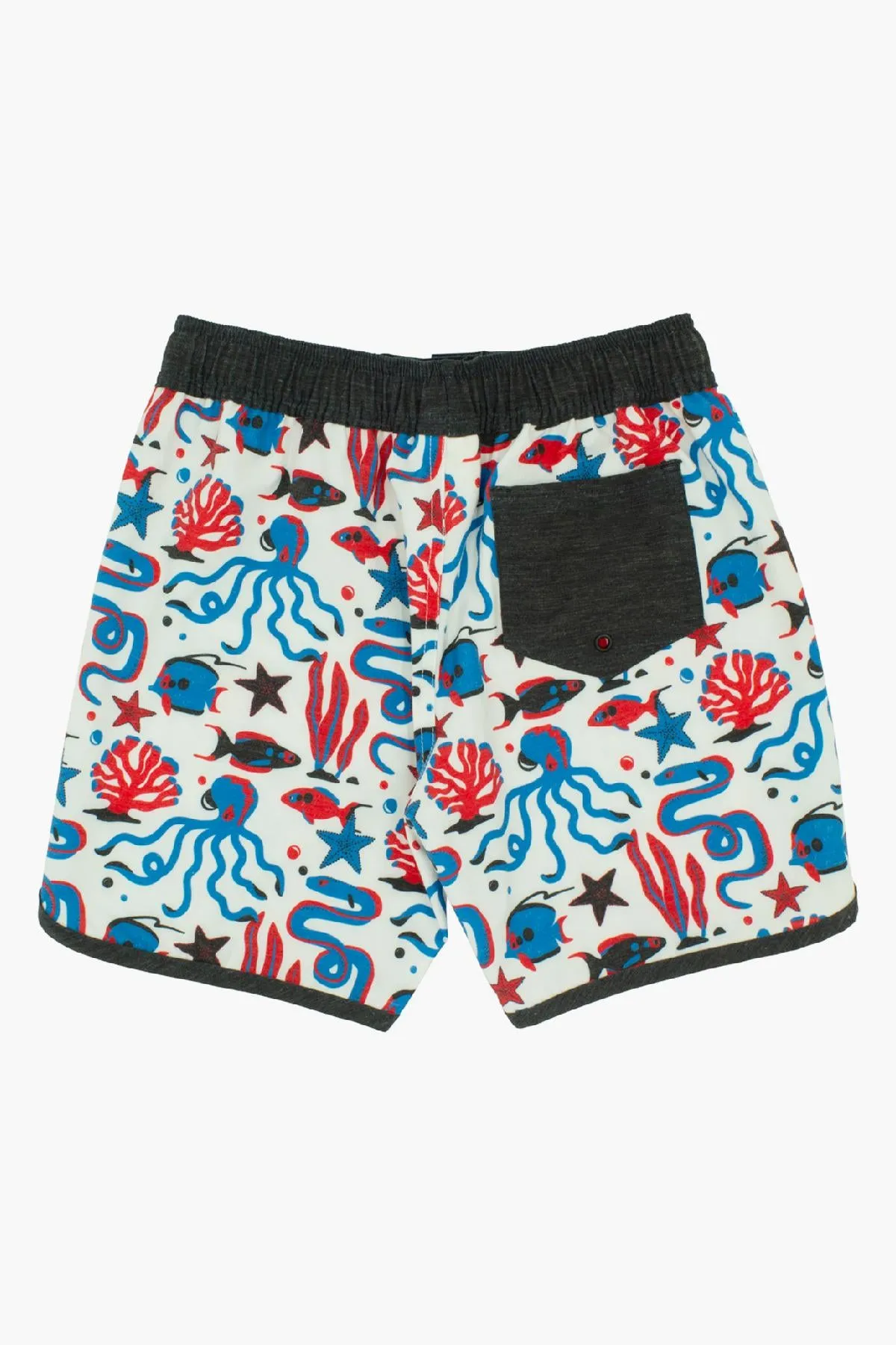 Feather 4 Arrow Sea Life Scallop Boys Swim Short