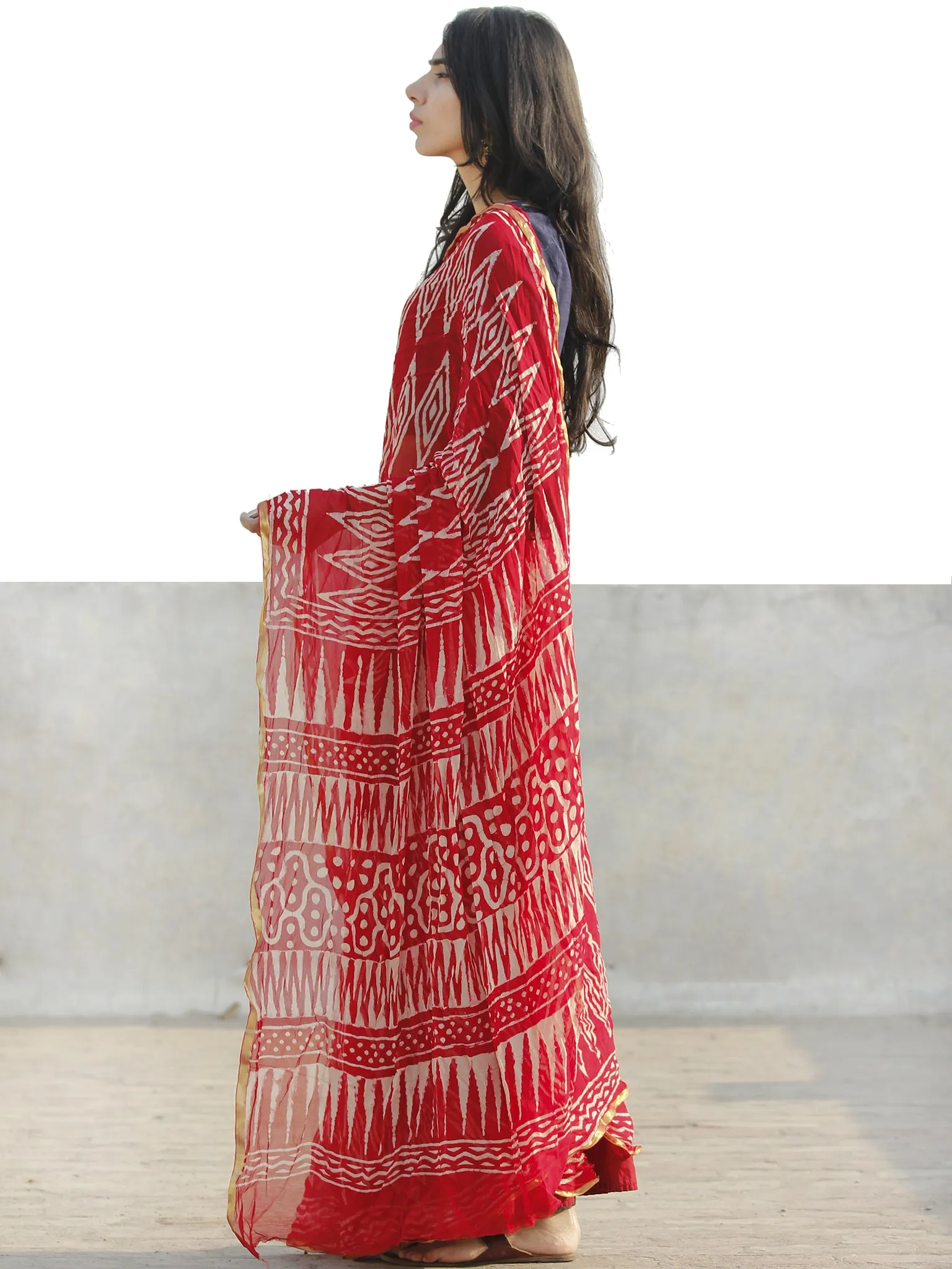 Red  White Hand Block Printed Chiffon Saree with Zari border- S031702692